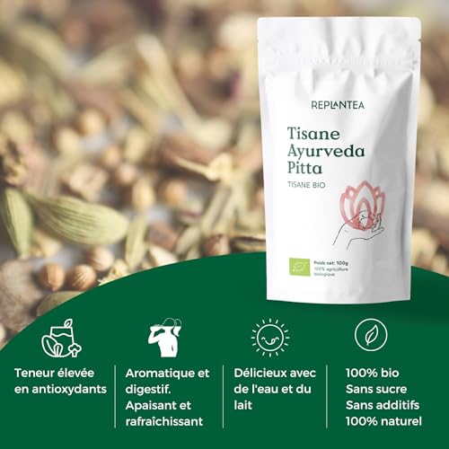 TISANE DE GINGEMBRE AVEC MENTHE ET CURCUMA "Ayurveda Pitta" 100% écologique 100g (50 Tasses) | Thé Ayurveda Digestif avec Réglisse, Ginbembre, Cannelle, Fenouil, Curcuma, Menthe REPLANTEA – vue 2