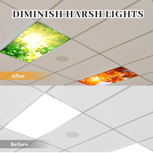 Image of ROCEEI Pack of 4 Fluorescent Light Covers for Ceiling Lights, 4 x 2 Ft, Magnetic Light Covers for Classroom Office Home School Ceiling Decor(Sunshine)