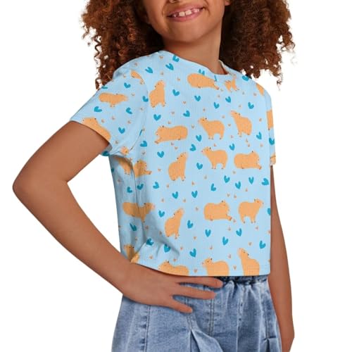 Image of Girls Crop Tees Crew Neck Casual Short Sleeve T Shirts Kids Loose Soft Comfortable Tees Blouses Shirt for Little Girl