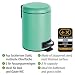 Wenko Leman Cubo con Pedal para Cosmética 3 L, Acero, Verde Menta,...