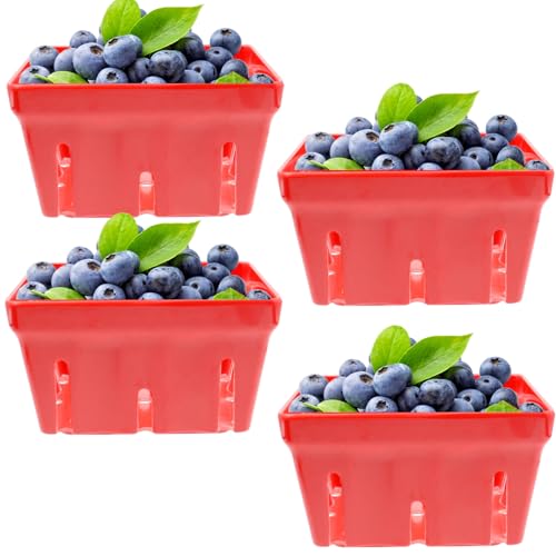Zentriqlla 4 Pack Berry Basket, Small Berry Bowl With Holes,
