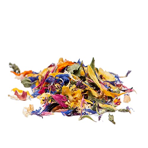 Decora 0201011 4 G ESSBARE Blumen FRUEHGLINGSFARBEN, 1 g (4er Pack), 4