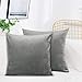 Auflosung Juego de 2 Fundas de cojín de Terciopelo Fundas de Almohada Cuadradas Decorativas de Terciopelo Suave Fundas de Cojín con Cremallera para sofá Dormitorio (04)