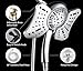 GRICH 2.5GPM Shower Head with Handheld Spray Combo: 2 in 1 Rainfall Shower Heads high pressure & Handheld Shower Head, 9 Spray Modes/Settings Detachable Shower Head with 60 Inch Hose