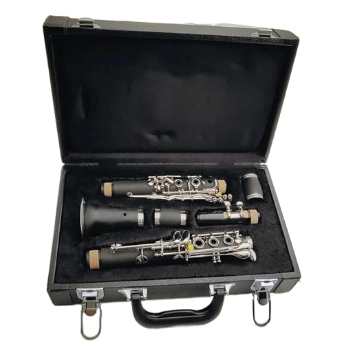 Clarinette professionnelle en ébène avec clés argentées pour musicien exigeant