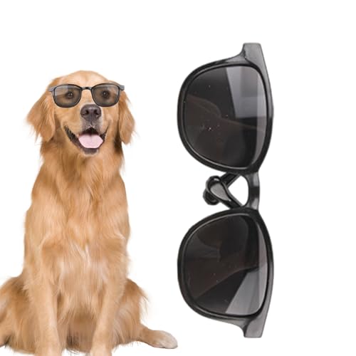 小さなペット用メガネ - 猫のゴーグル、犬の サングラス、写真撮影 用小道具 - UV保 護ペットゴーグル 防風パーティーコ スチューム屋外旅 行やコスプレパーティー用