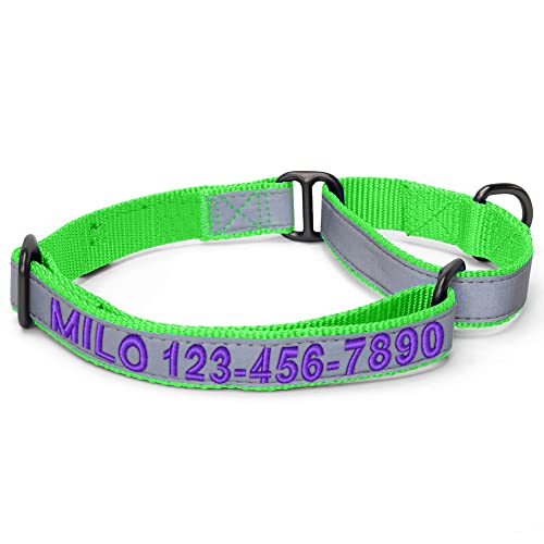 Pawtitas Customized Martingale Dog Collar Reflective Reflective Dog Collar Embroidered Personalized Name Phone Number Adjustable for Puppies Small Medium Large Size Dogs Large Green