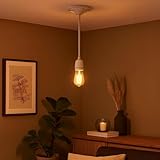 luminaire suspension porcelaine Technologie : culot E27 230 V 4 A