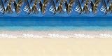 Fadeless® PAC56715 Bulletin Board Art Paper, Tropical Beach, 48' x 50', 1 Roll