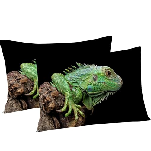 Housse de couette 200x200 vert de qualité supérieure en microfibre douce - 5