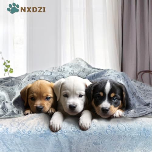 Dog Blankets for Dogs, 3 Pack Dog Blanket Washable 23" x 16", Fuzzy Soft Pet Mat Throw Cover for Kennel Crate Bed, Cute Paw Pattern, Cat Blanket, Blankets for Dogs, Pet Blanket - Image 4