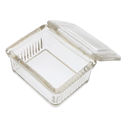 FUNOMOCYA 1pc Glass Staining Jar Clear Jar Slide Staining Jar Clear Tumblers Staining Tray Gram Stain Kit Coplin 9-Slide Staining Tank Vessel Wet Specimen Jar Clear Stand Glass Staining Tank