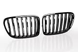 bmw x1 f48 nieren ausbauen passend für BMW X1 E84 ab 2009 ohne Night Vision