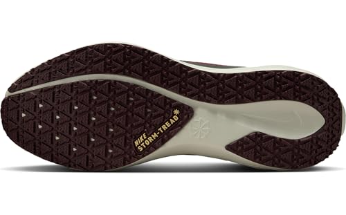 Nike Nike Women's Pegasus 41 Gore-Tex Waterproof Road Running Shoes for Men Street Running Shoes, Light Pumice Ashen Slate Burgundy Crush, 9.5 US