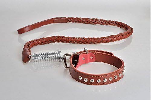 Leather Dog Leash Braided Pet Training Leather Lead Belt 4.2ft Long 0.8 Inch Wide for Medium Large Dogs Up With Buffer Spring (Red brown)