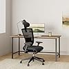 SIDIZ T50 Ergonomic Office Chair : High Performance Home Office Chair with Adjustable Headrest, Lumbar Support, 3D Armrest, Seat Depth, Mesh Back Computer Chair, Alternative Gaming Chair (Black)