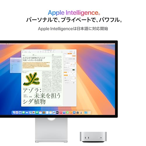 月末セール！Apple M1 MacMini RAM16GB SSD512GB Apple M1