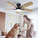 Airwit 106 cm Silent Ceiling Fan with Light Double Sided Blades, Adjustable Ceiling Fan Lamp with Remote Control and Reversible DC Motor for Bedroom Living Room, 6 Speeds