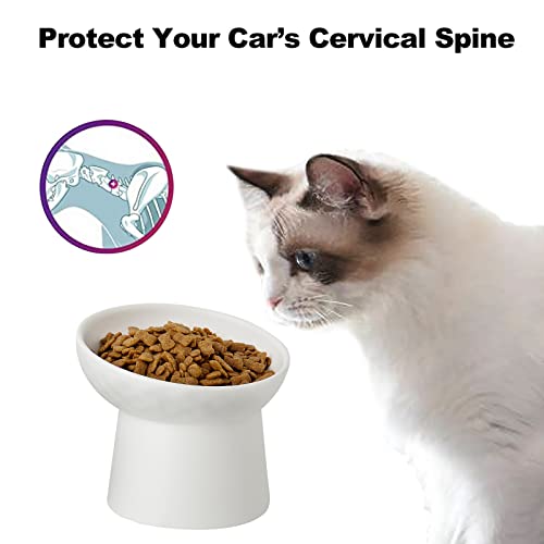 KITCHENLESTAR Ceramic Raised Cat Bowls, Elevated Tilted Cat Food and Water Bowls Set, Porcelain Stress Free Pet Feeder Dish for Cats and Small Dogs, Dishwasher and Microwave Safe, Set of 2(White)