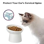 Elevated Cat Bowls, 15° Tilted Ceramic Raised Cat Food and Water Bowl Set, Whisker-Friendly Porcelain Pet Feeder Dishes for Indoor Cats and Small Dogs,White,5.2 Inch,2 Pack - Image 3