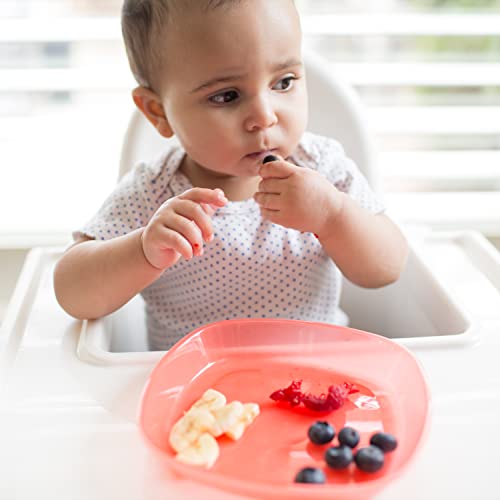Dr. Brown's Stackable Plates For Toddlers And Babies, Bpa Free, 4-Pack, 4M+ #TOP2