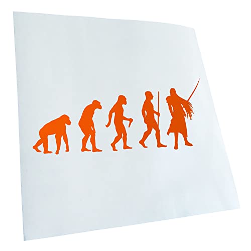 Kiwistar - Autocollant - Evolution pour jeux vidéo - orange - G24 - Pour voitures, vélos, véhicules, motos, cyclomoteurs, tuning, vitres arrière