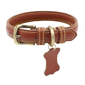 Fovaok Braunes Leder Katzenhalsband mit Knochenanhänger