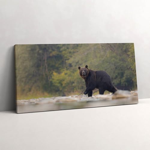 Tableau photo sur toile d'art ours de Bieszczady édition 100x50cm