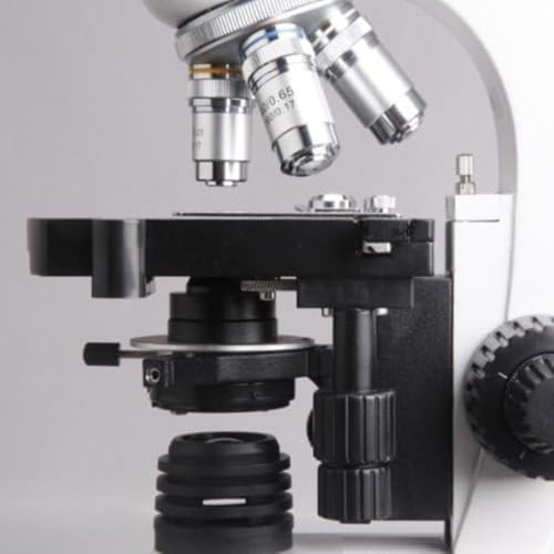 Image of AmScope T360B-10M Digital Trinocular Compound Microscope, 40X-2000X Magnification, WF10x and WF20x Eyepieces, Brightfield, LED Illumination, Abbe Condenser, Double-Layer Mechanical Stage, Includes 10MP Camera with Reduction Lens and Software