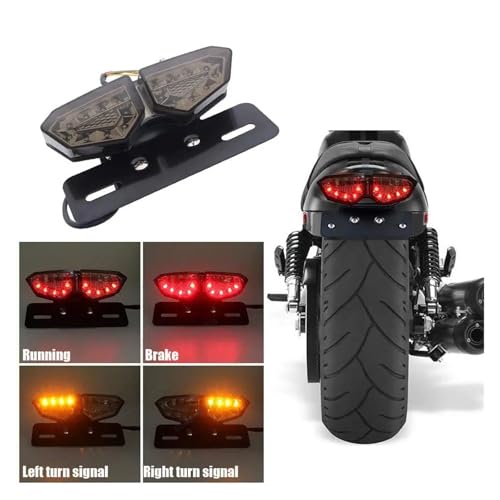 Accesorios de luces LED traseras de 12V con freno e intermitentes 2