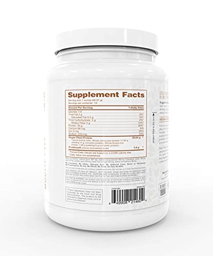 Nutrabio Plant Protein – Complete Amino Acid Profile – 20G Of Protein Per Scoop – Gluten And Dairy Free, Zero Fillers, Naturally Sweetened, Non-Gmo, Usa Made Protein Powder - Mochaccino Cake #TOP21