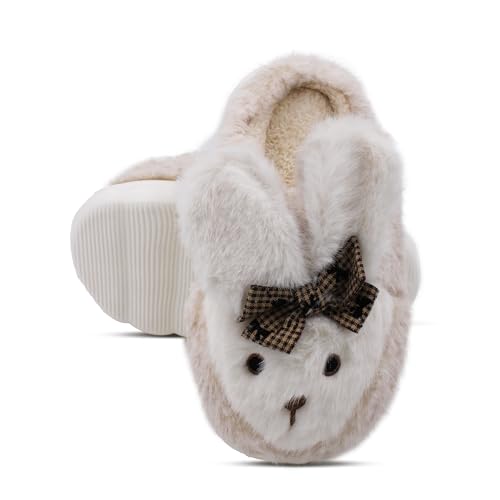 Image of VRITRAZ Women's Comfort Slip On Closed Toe Warm Winter House Clog Indoor Slipper with Cute Print and Degins