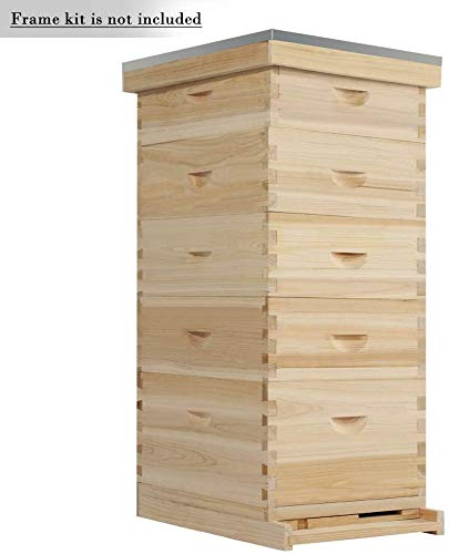 Neady Hives Natural Bees Beehive Includes Foundations (5-Layer)