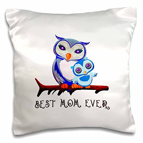 3dRose Alexis Design-Love-Breathtaking Adorable Mother and owl Kid. Best Mom Ever (pc-298684-1) Pillow Case, White