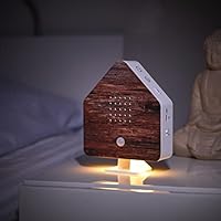 Boîte À Sons D'oiseaux, Boîte À Sons Naturels Avec Chants D