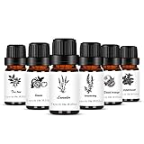 🔥 【6 tipos diferentes de sabores】 Conjunto perfecto de 6 piezas de aceites esenciales, lavanda, árbol de té, menta, naranja dulce, romero, limón, cada botella, 10 ml por botella