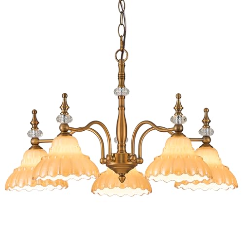 HDDFL Chandelier 5 Lights Chandeliers Lamp Modern Pendant Lighting Fixtures