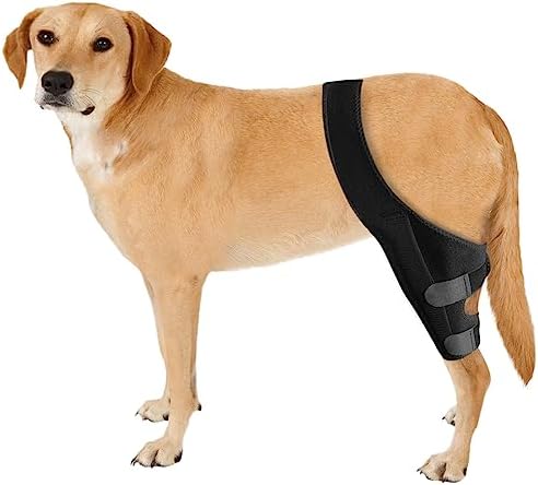 JUANWAN Dog Knee Brace Leg Braces - Dog Canine Knee Stifle Brace Wrap Dog Knee Brace for Torn ACL Hind Leg Joint Pain Muscle Sore Pet Brace Reduces Pain and Inflammation (S)