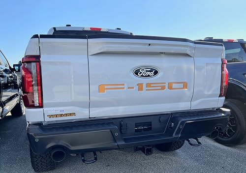 Image of F-150 Tailgate Emblem Letter Inserts - Compatible with 2021-2026 F-150