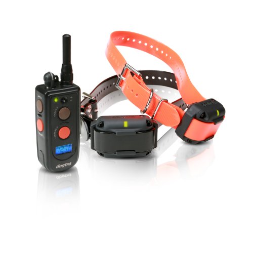 Dogtra Advanced 2 Dog 3/4 Mile Remote Trainer 2302NCP