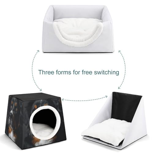 Cabane bernoise pour chat maison chaude pour animaux domestiques