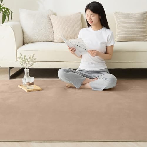 Softime カーペット ラグ ラグマット 200×250cm（約3畳）絨毯 滑り止め付 ラグカーペット 軽量設計 洗える 地毯 抗菌 防臭 防ダニ フランネルラグ オールシーズン 床暖房 ホットカーペット対応 無地・モカ