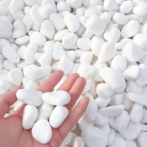 【綺麗な、天然石。】 砂利 じゃり 白玉石 白玉砂利 2-3cm 【20kg(1箱)】