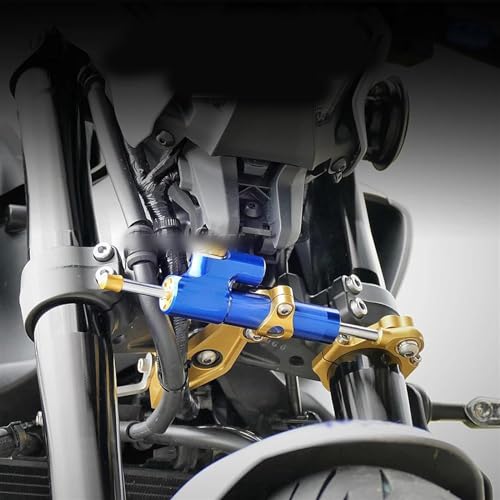 Kit support amortisseur direction contre le guidonnage de MT09 - 3