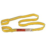 Global Industrial Polyester Eye & Eye Web Sling w/Durable Edge, 10'L x 2
