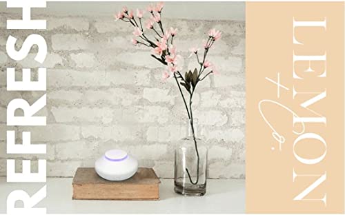 Lemon + Co. Humidifier Ultrasonic Aromatherapy Waterless Diffuser White Cool Mist Air Aromatherapy Essential Oil Diffuser For Office, Home, Bedroom, Living Room, Yoga, Spa; Multiple Lighting Options #TOP6