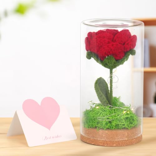 Hojalis Gehäkelte Blumen, Gehäkelte Künstliche Blumen Mit Licht, Ewige Rose Im Glas, Häkelblumen Mit Grußkarte,Handgemachte, Häkelblume Für Mama Frau Freundin, Jubiläum/Valentinstag Frauen