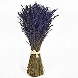 RAMO DE LAVANDA PRESERVADA. MUY ARÓMATICO Y DELICADO.
