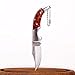 Samior AC513 Little Fang Mini Bowie Slipjoint Keychain Knife, 2 inches Satin Clip Point Nick Nail Blade Small Folding Pocket Knives, Flame Pattern Acrylic Handle Dual Steel Bolsters Handle, 1.6 oz
