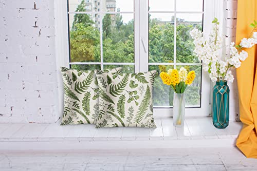 Golee Set Of 2 Throw Pillow Cover Green Leaf Floral In Vintage Style Leaves And Herbs Boxwood Seeded Eucalyptus Fern Maidenhair Decorative Pillow Case Home Decor Square 18X18 Inches Pillowcase #TOP4
